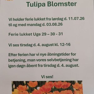 Opslagsbillede