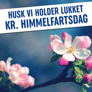 Opslagsbillede