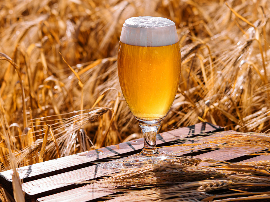 Videnskab og øl: Dyk ned i Carlsbergs banebrydende forskning