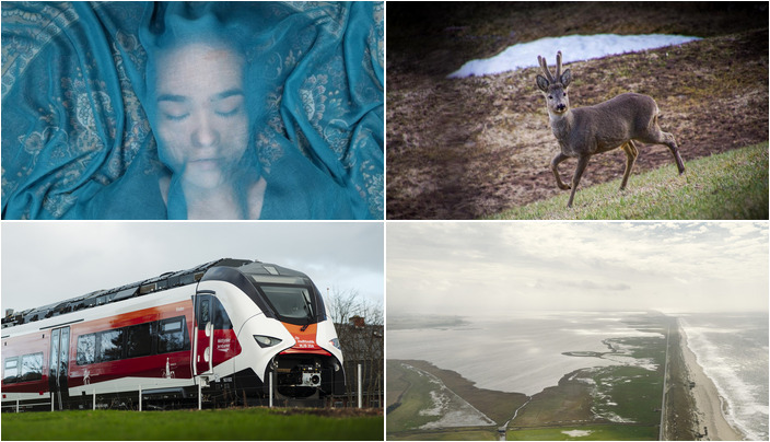 Oplev Lemvig i weekenden: Kunst, jagt og grøn omstilling