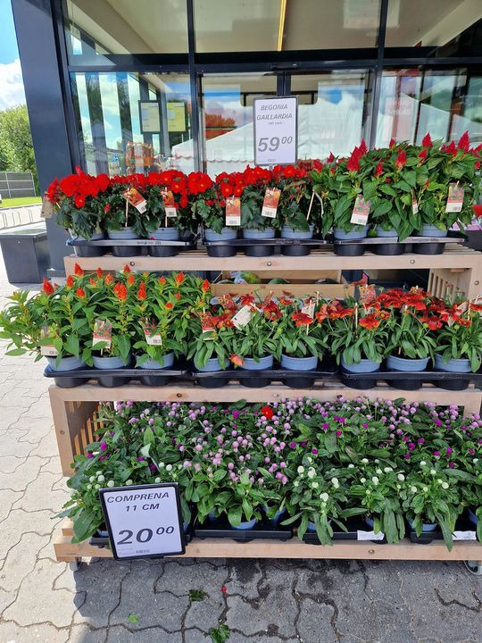 Nyt på opslagstavlen i Tjele