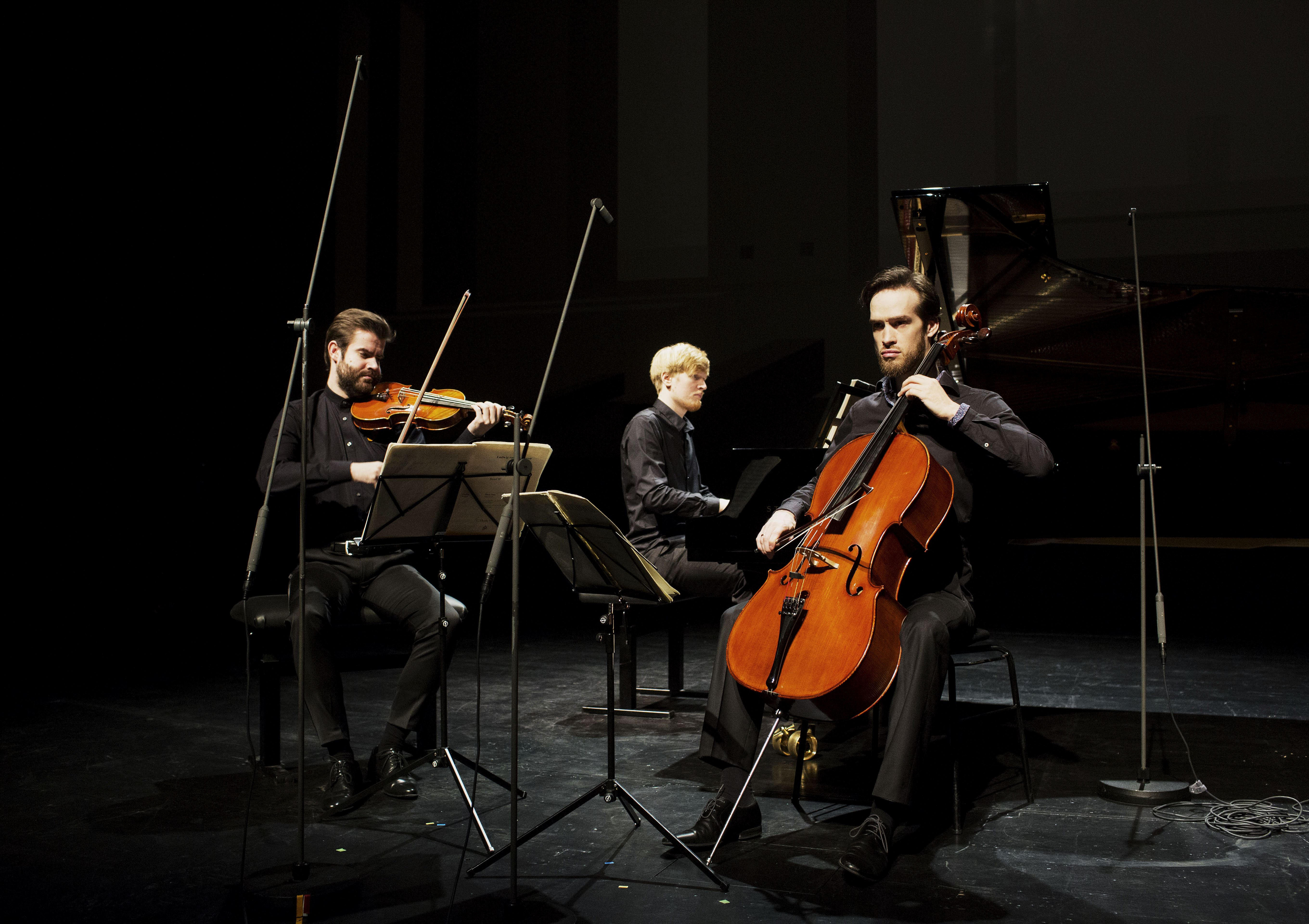 Trio Adorno optræder i Aabenraa