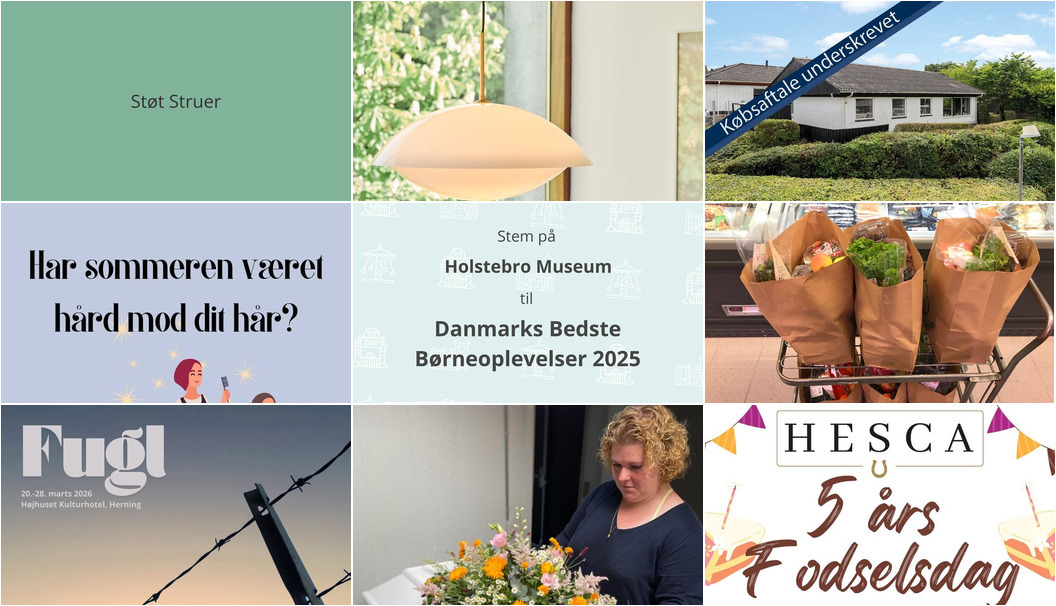 Nyt fra HESCA, EDC Ejen­doms­grup­pen Struer, THUSGAARD LIVING og 5 andre