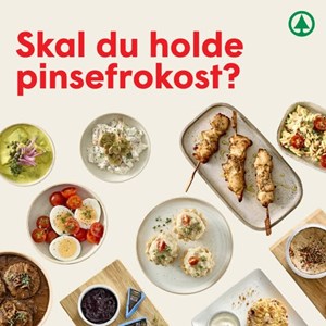 opslagsbillede