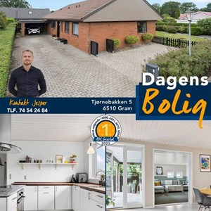 Opslagsbillede