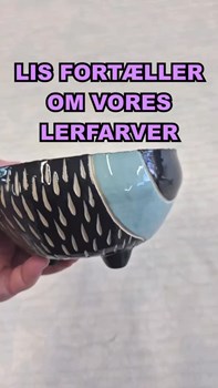 Opslagsbillede
