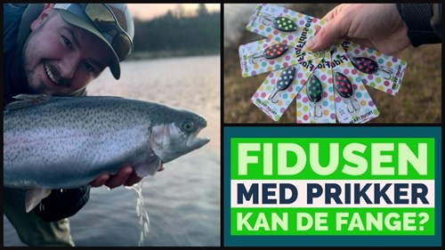Opslagsbillede