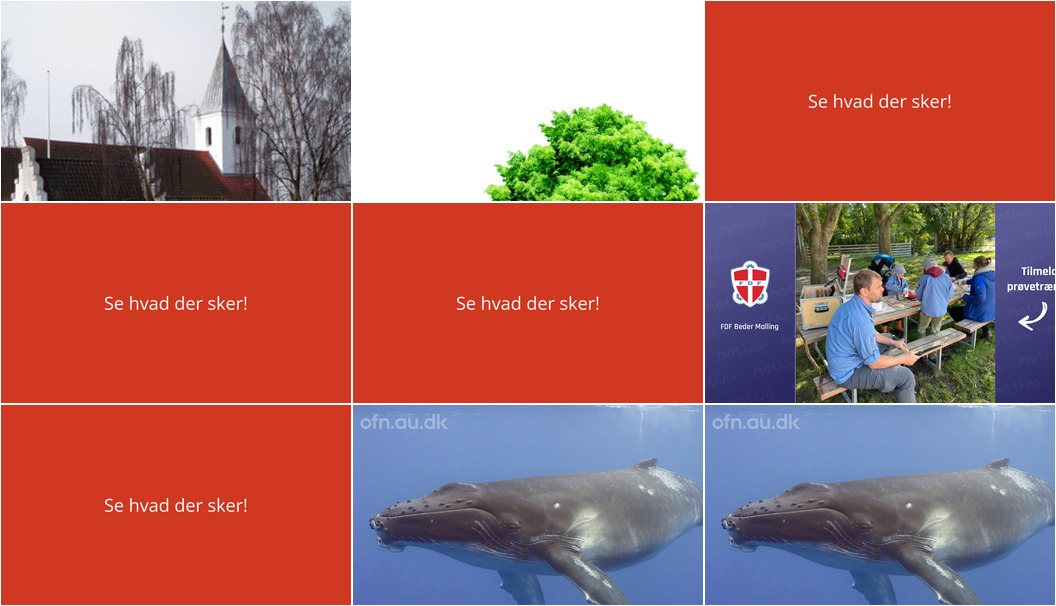 Ugen i Beder byder på litterær vandring og indsigtsfulde foredrag