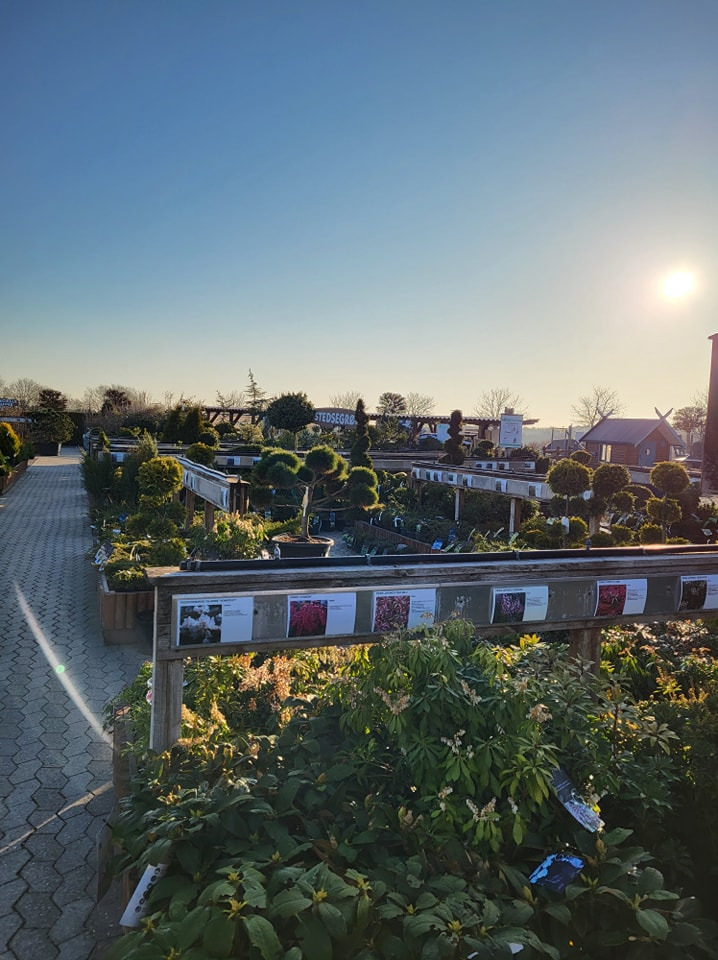 Opslagstavlen: Nyeste opdateringer fra Viborg