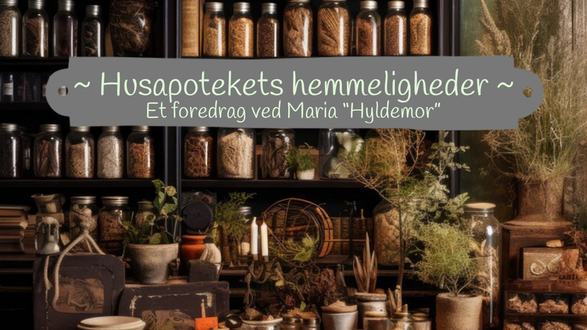 Husapotekets hemmeligheder: Foredrag og fællesspisning med Maria "Hyldemor