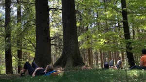 FredagsRo: Start din dag med naturens ro i Rold Skov