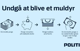 Undgå at blive muldyr for kriminelle i Ullerslev