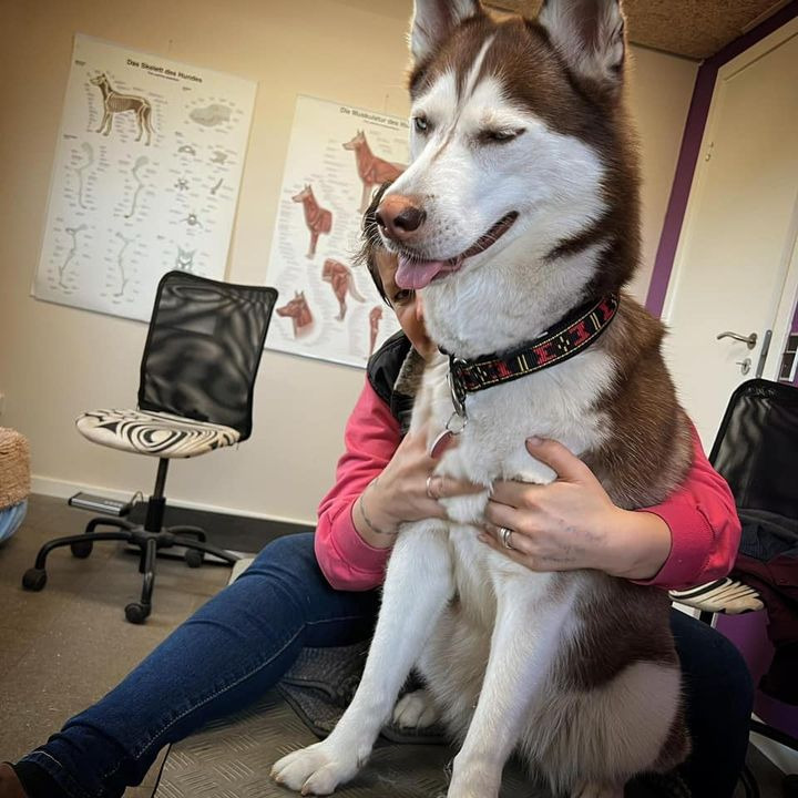 Hold dig ajour med dagens opdateringer fra Sæby