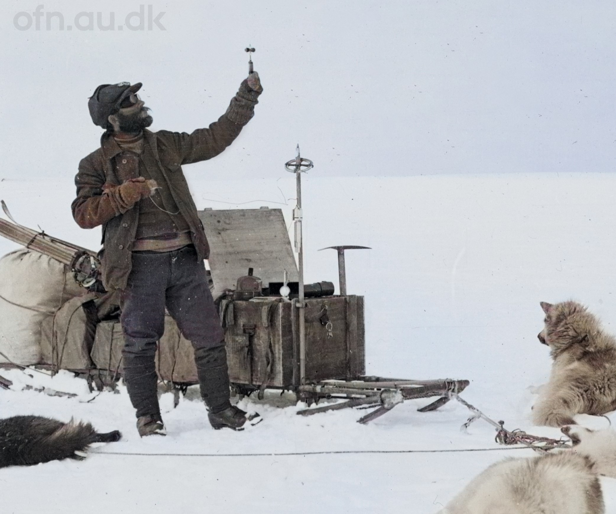 Udforsk Grønlands historie og aktuelle forskning på Brønderslev Bibliotek