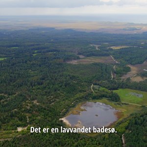 Opslagsbillede