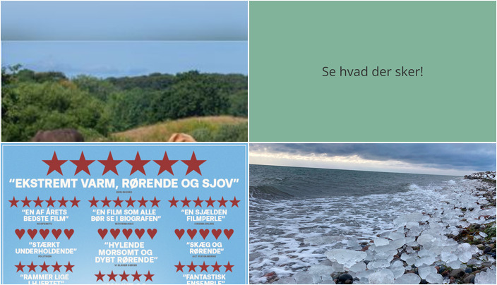 Aktiviteter i Rudkøbing: Vild natur, inspirerende film og koldtvandssvømning