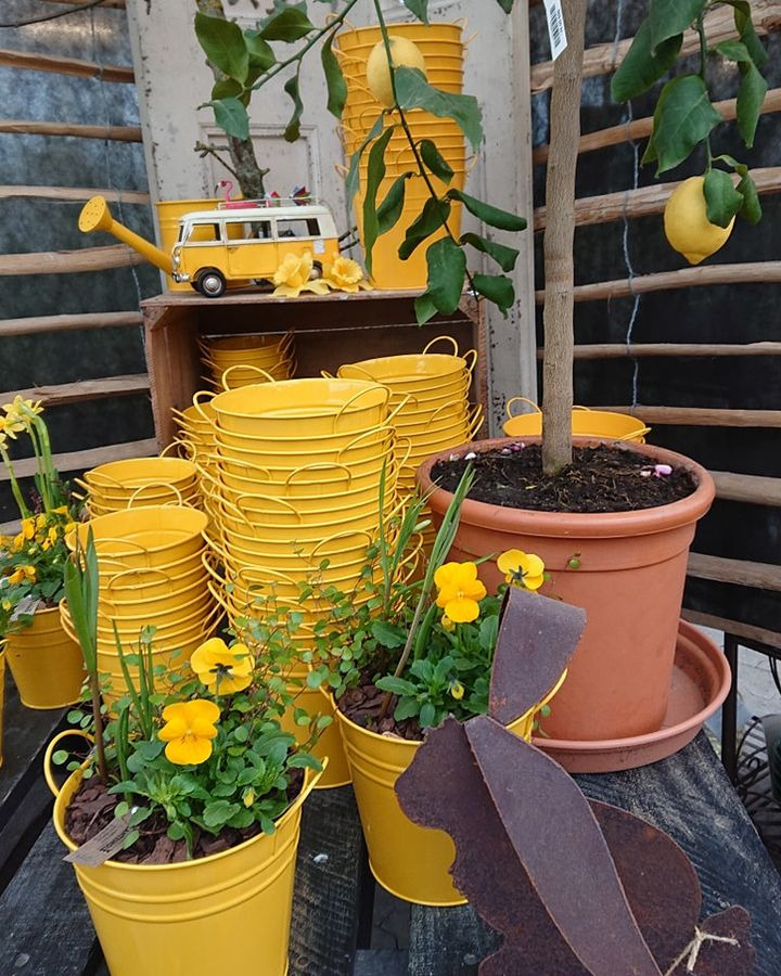 Se dagens updates fra Silkeborg her