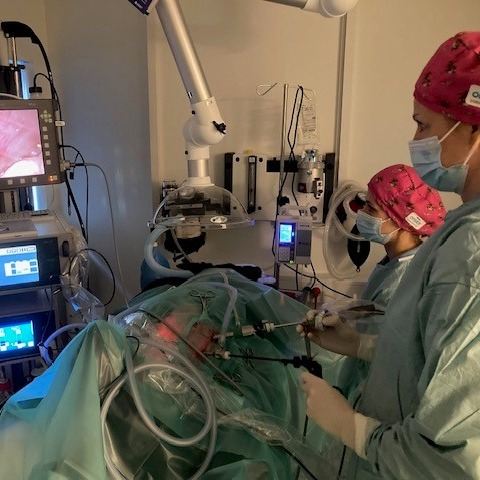 En finger på pulsen i Risskov