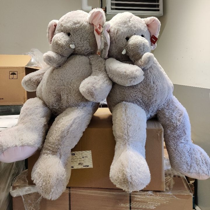 En finger på pulsen i Tjele