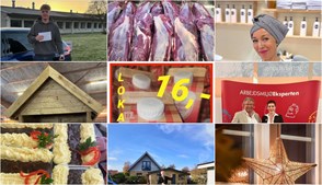 Nyt fra ZENZ, Entreprise Tømreren, ARBEJDSMILJØEKSPERTEN og 6 andre