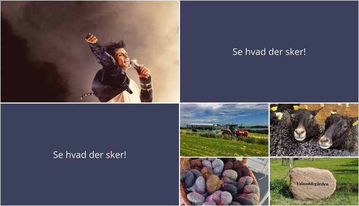 Kommende uge i Skibby: Fra ikonisk musikhistorie til bæredygtig landbrugstur