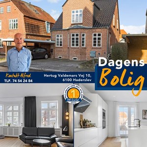 Opslagsbillede