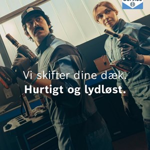 Opslagsbillede