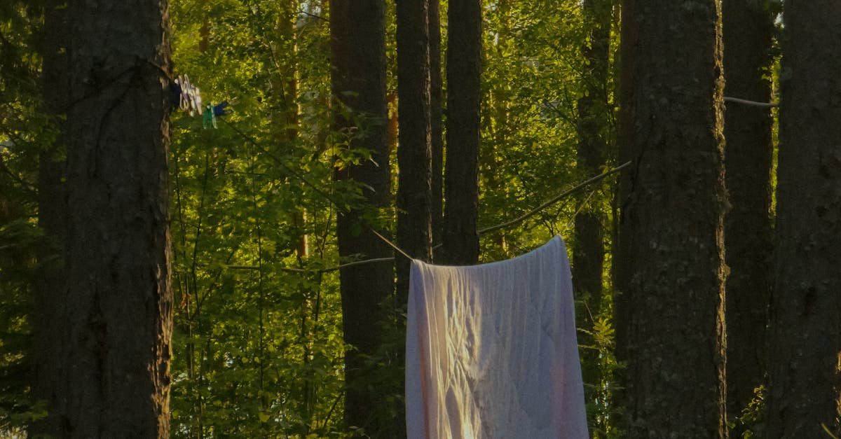 Forståelse af sommerdyner - En guide til bedre søvn i varmen