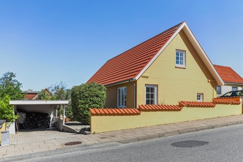 Opslagsbillede