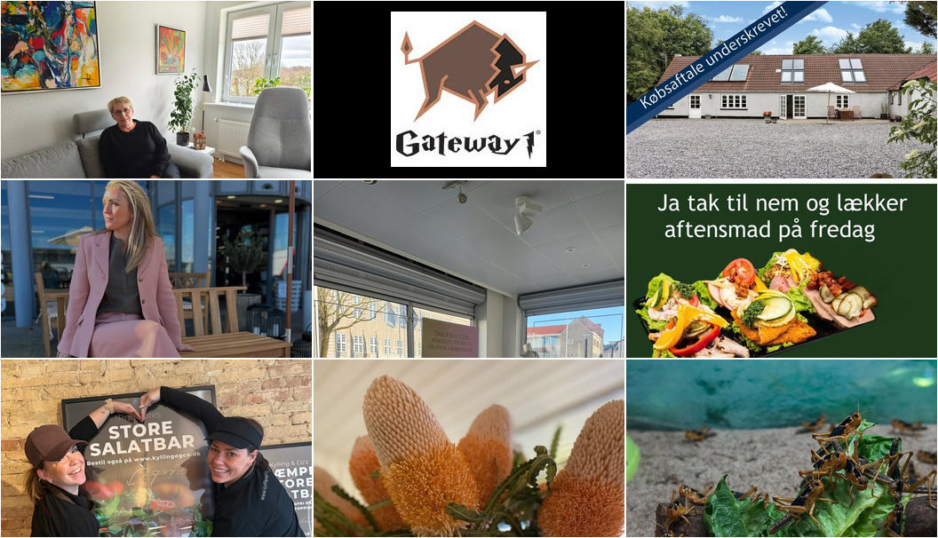 Nyt fra EDC Ejen­doms­grup­pen Struer, Gimsinghoved, Florist Pernille DB og 6 andre