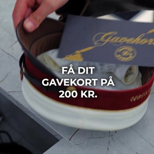 Opslagsbillede