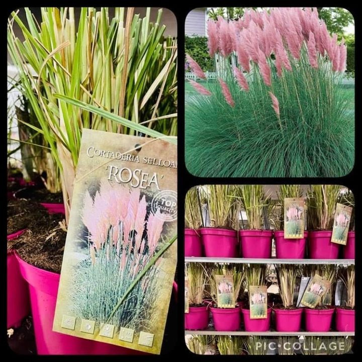 Hold trit med lokalområdet: Nyt fra Silkeborg