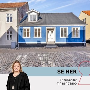 Opslagsbillede