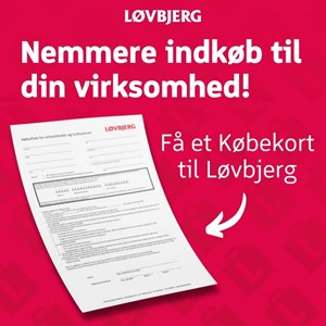 Opslagsbillede