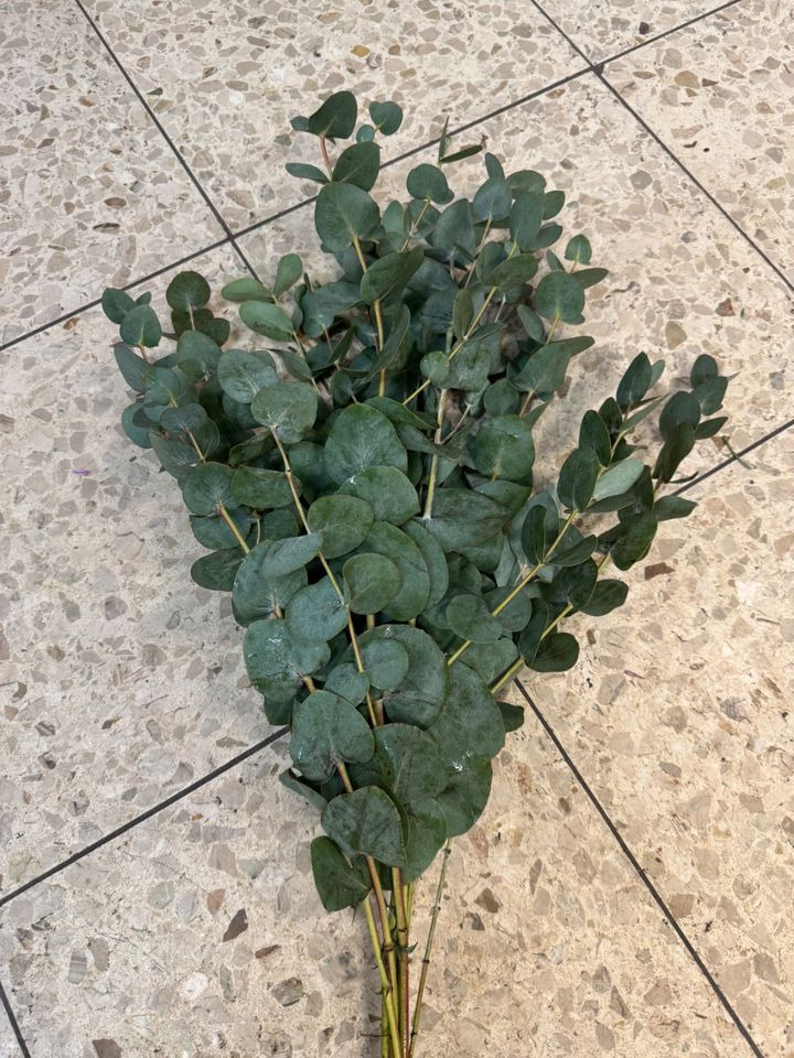 Meny Klarup: Bestil smukke eucalyptus bundt til 29,95 nu!