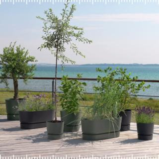 Hold trit med lokalområdet: Nyt fra Hals