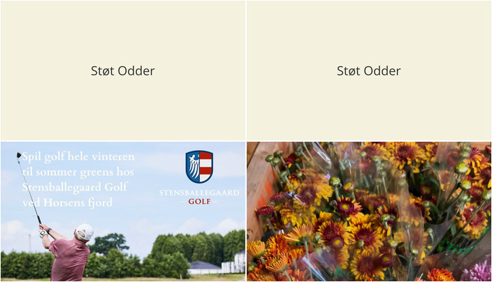 Nyt fra Midtjysk blomstermarked  og StensballeGaard Golfklub