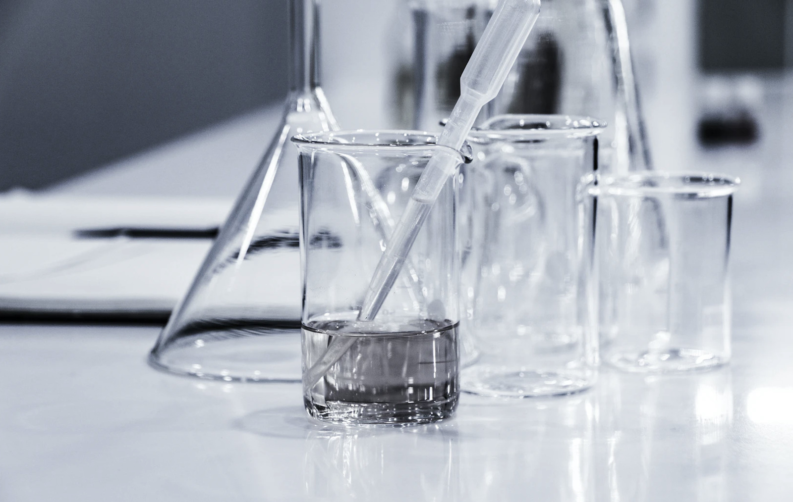 Ny "Nat-Klub" hos Hjørring Gymnasium