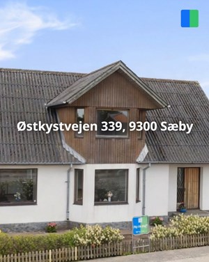 opslagsbillede