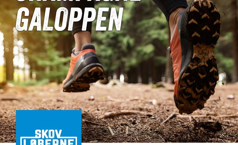 Champagnegalop ved Store Økssø: En festlig afslutning på året