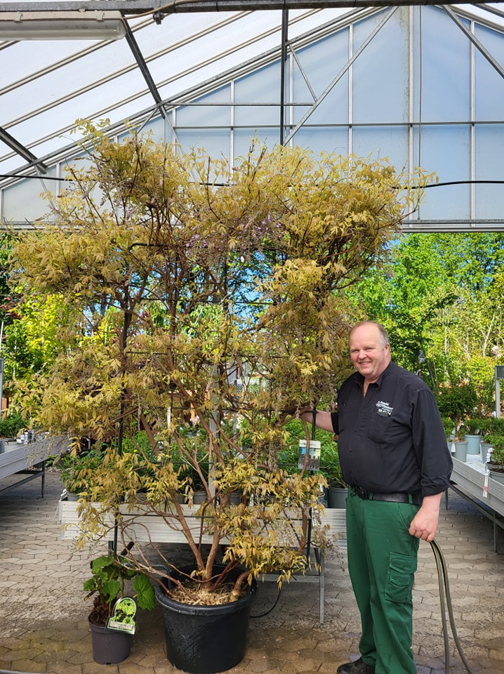 Opdatér dig her: Det nyeste fra Viborg