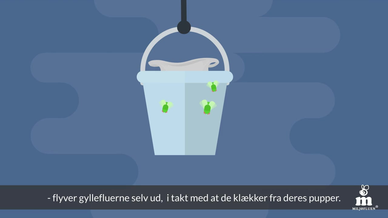 Opslagstavlen: Nyeste opdateringer fra Brønderslev