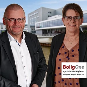 Opslagsbillede