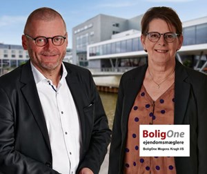 opslagsbillede