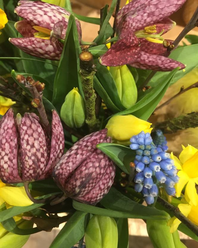 Florist Pernille DB byder velkommen på Struervej med nye åbningstider