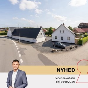 Opslagsbillede