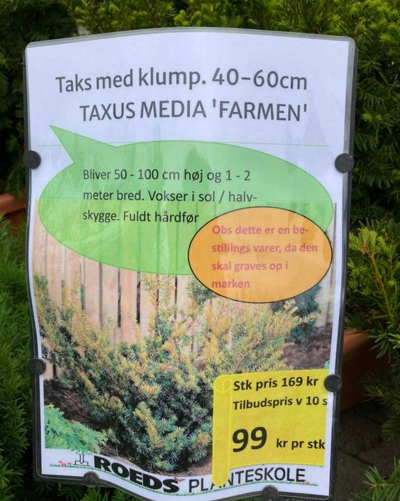 Hold trit med lokalområdet: Nyt fra Hobro