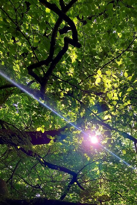 Hold dig ajour med dagens opdateringer fra Hammel