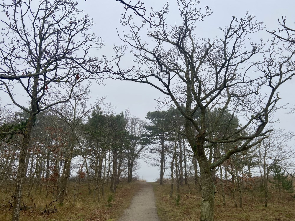 Tag de første skridt mod et meningsfuldt arbejdsliv i Ebeltoft