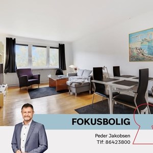 Opslagsbillede